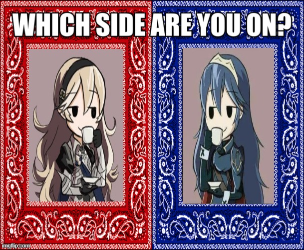 WHICH SIDE ARE YOU ON? | image tagged in which side are you on | made w/ Imgflip meme maker