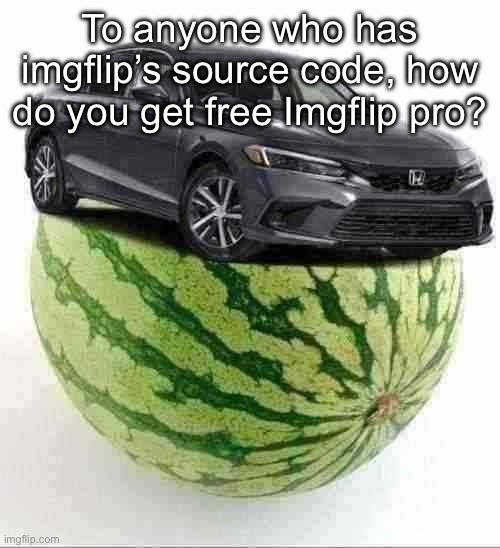 CivicMelon | To anyone who has imgflip’s source code, how do you get free Imgflip pro? | image tagged in civicmelon | made w/ Imgflip meme maker