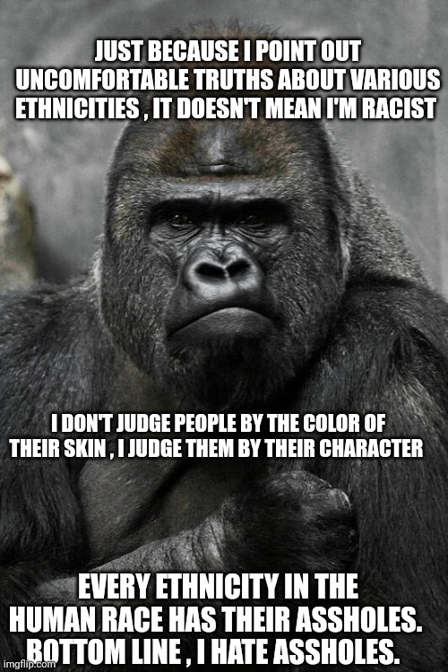 racism memes | JUST BECAUSE I POINT OUT UNCOMFORTABLE TRUTHS ABOUT VARIOUS ETHNICITIES , IT DOESN'T MEAN I'M RACIST; I DON'T JUDGE PEOPLE BY THE COLOR OF THEIR SKIN , I JUDGE THEM BY THEIR CHARACTER; EVERY ETHNICITY IN THE HUMAN RACE HAS THEIR ASSHOLES.  BOTTOM LINE , I HATE ASSHOLES. | image tagged in racism | made w/ Imgflip meme maker