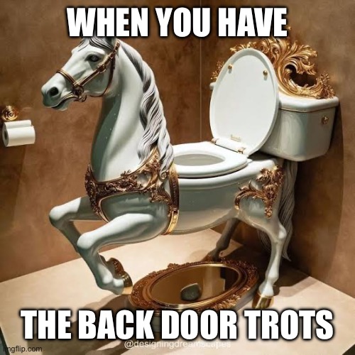 The trots | WHEN YOU HAVE; THE BACK DOOR TROTS | image tagged in back door,trots,runs,diahrea | made w/ Imgflip meme maker