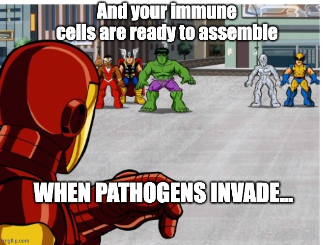 patho | And your immune cells are ready to assemble; WHEN PATHOGENS INVADE... | image tagged in memes | made w/ Imgflip meme maker