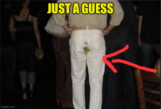 Poop Pants | JUST A GUESS | image tagged in poop pants | made w/ Imgflip meme maker