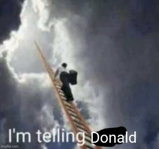 Im telling god | Donald | image tagged in im telling god | made w/ Imgflip meme maker