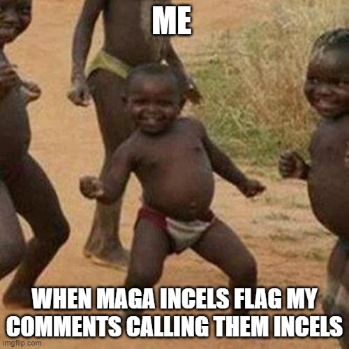 Simple Joys of Life | ME; WHEN MAGA INCELS FLAG MY COMMENTS CALLING THEM INCELS | image tagged in memes,third world success kid,maga,incels | made w/ Imgflip meme maker