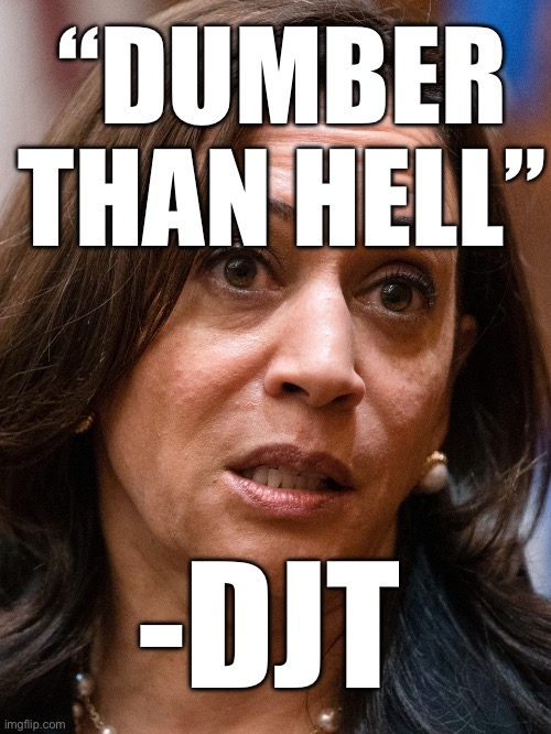 “DUMBER THAN HELL”; -DJT | made w/ Imgflip meme maker