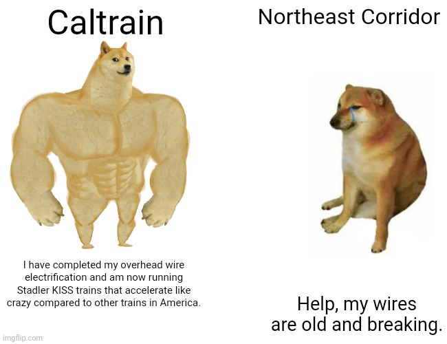 Buff Doge vs. Cheems | Caltrain; Northeast Corridor; I have completed my overhead wire electrification and am now running Stadler KISS trains that accelerate like crazy compared to other trains in America. Help, my wires are old and breaking. | image tagged in memes,buff doge vs cheems | made w/ Imgflip meme maker