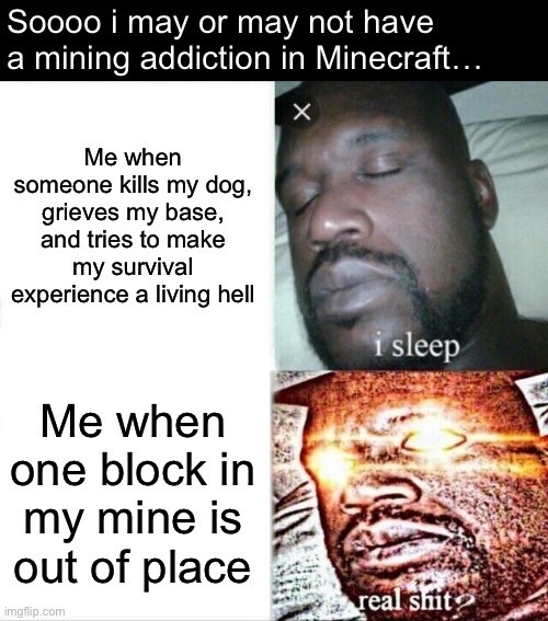 tbh this pretty much would be the case if I would play multiplayer survival more | Soooo i may or may not have a mining addiction in Minecraft…; Me when someone kills my dog, grieves my base, and tries to make my survival experience a living hell; Me when one block in my mine is out of place | image tagged in memes,sleeping shaq,minecraft,mining | made w/ Imgflip meme maker