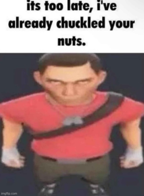 chuckled your nuts | image tagged in chuckled your nuts | made w/ Imgflip meme maker