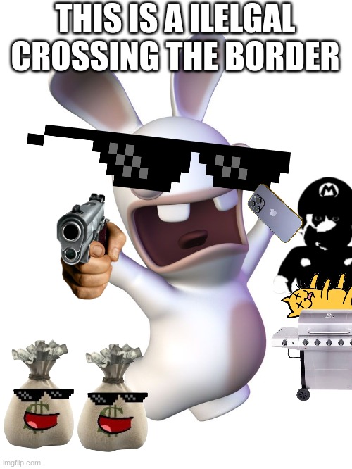 Illegal Rabbid | THIS IS A ILELGAL CROSSING THE BORDER | image tagged in rabbid | made w/ Imgflip meme maker