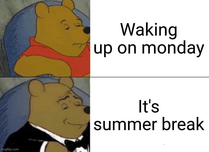 Tuxedo Winnie The Pooh | Waking up on monday; It's summer break | image tagged in memes,tuxedo winnie the pooh | made w/ Imgflip meme maker