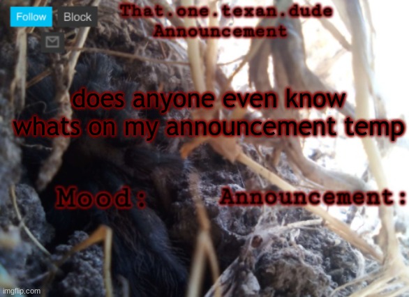 THE that.one.texan.dude announcement template | does anyone even know whats on my announcement temp | image tagged in the that one texan dude announcement template | made w/ Imgflip meme maker