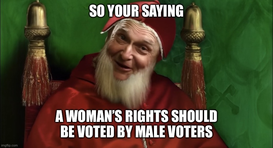 What did you say | SO YOUR SAYING; A WOMAN’S RIGHTS SHOULD BE VOTED BY MALE VOTERS | image tagged in what did you say | made w/ Imgflip meme maker