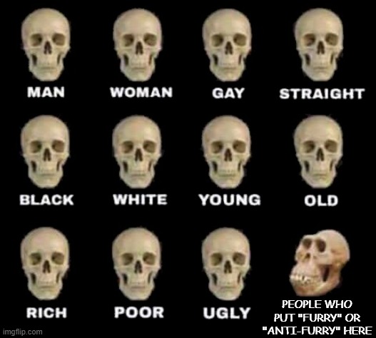 man woman gay straight skull | PEOPLE WHO PUT "FURRY" OR "ANTI-FURRY" HERE | image tagged in man woman gay straight skull | made w/ Imgflip meme maker