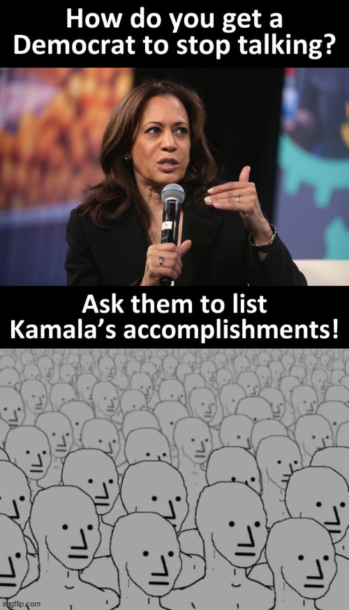 She has no achievements as VP | image tagged in npc crowd,silent | made w/ Imgflip meme maker