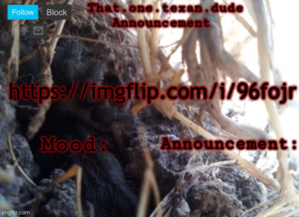 THE that.one.texan.dude announcement template | https://imgflip.com/i/96fojr | image tagged in the that one texan dude announcement template | made w/ Imgflip meme maker