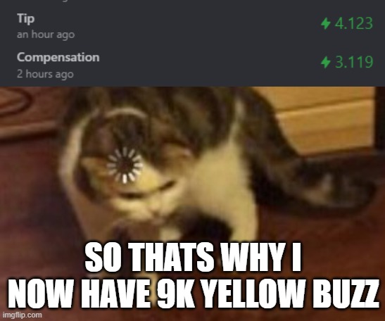 confused stonks | SO THATS WHY I NOW HAVE 9K YELLOW BUZZ | image tagged in loading cat | made w/ Imgflip meme maker