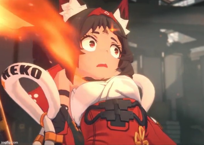 Nekomata suprised face | image tagged in nekomata suprised face | made w/ Imgflip meme maker