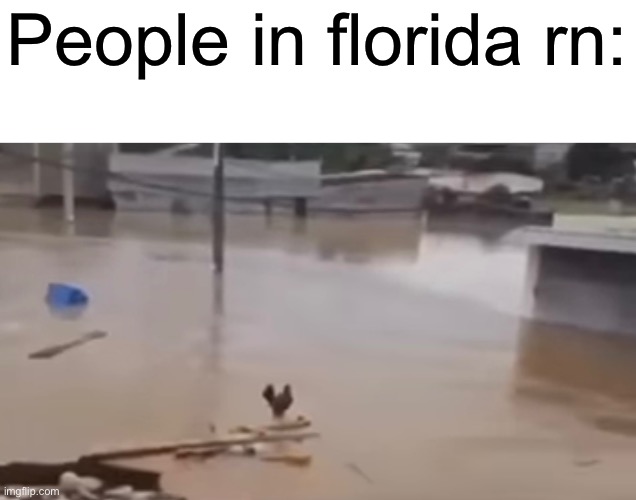 They be having a big bath | People in florida rn: | image tagged in florida,dark humor | made w/ Imgflip meme maker