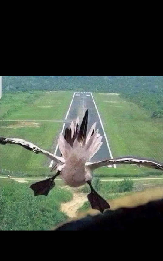 Final Approach Blank Meme Template