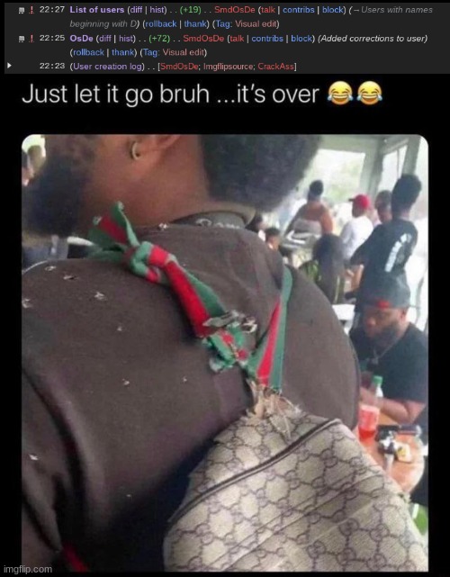 image tagged in just let it go bruh it's over | made w/ Imgflip meme maker