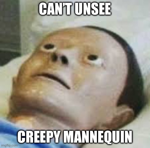 Traumatized Mannequin | CAN’T UNSEE CREEPY MANNEQUIN | image tagged in traumatized mannequin | made w/ Imgflip meme maker