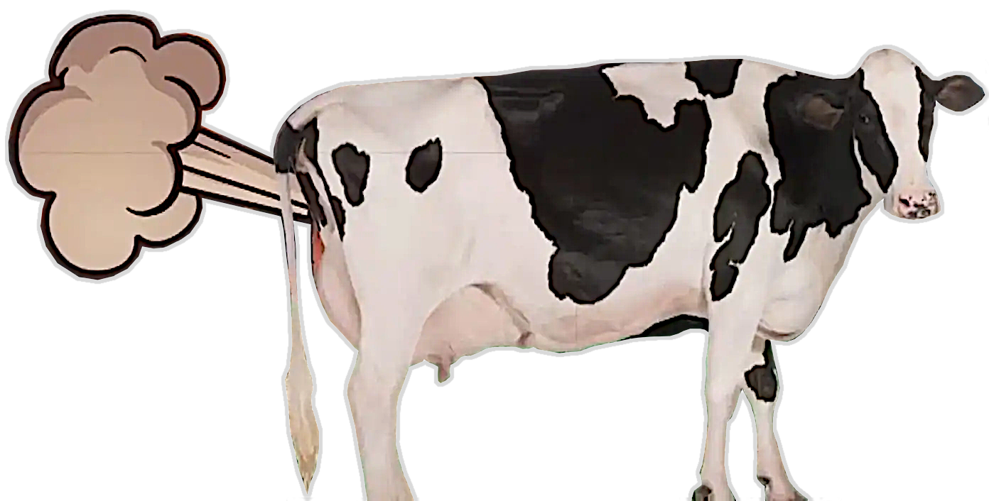 COW FARTS Blank Meme Template