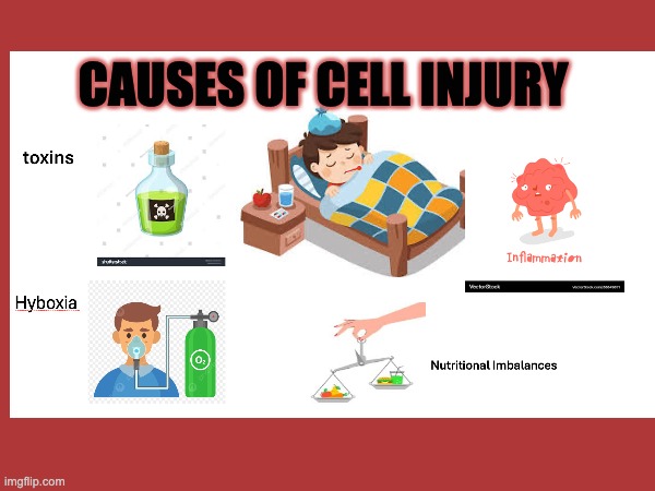 patho | CAUSES OF CELL INJURY | image tagged in memes | made w/ Imgflip meme maker