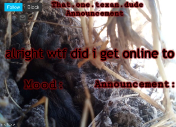 THE that.one.texan.dude announcement template | alright wtf did i get online to | image tagged in the that one texan dude announcement template | made w/ Imgflip meme maker