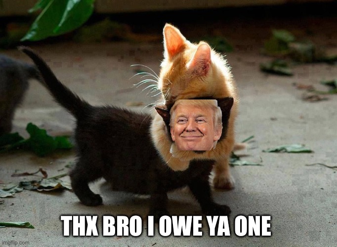 kitten hug | THX BRO I OWE YA ONE | image tagged in kitten hug | made w/ Imgflip meme maker