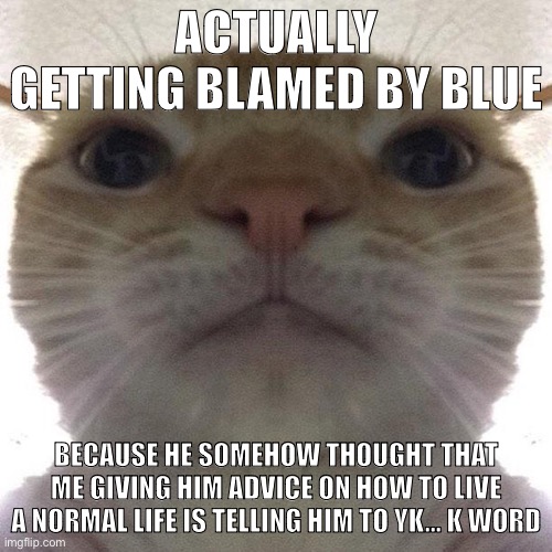 Blud just live a normal life and if you can, find Jesus | ACTUALLY GETTING BLAMED BY BLUE; BECAUSE HE SOMEHOW THOUGHT THAT ME GIVING HIM ADVICE ON HOW TO LIVE A NORMAL LIFE IS TELLING HIM TO YK… K WORD | image tagged in staring cat/gusic | made w/ Imgflip meme maker
