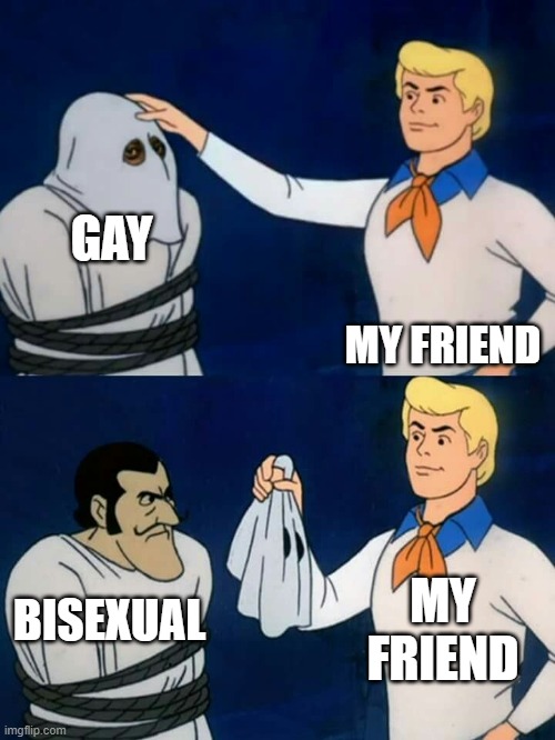 TRUUUUEEEE | GAY; MY FRIEND; MY FRIEND; BISEXUAL | image tagged in scooby doo mask reveal,gay pride,bisexual | made w/ Imgflip meme maker