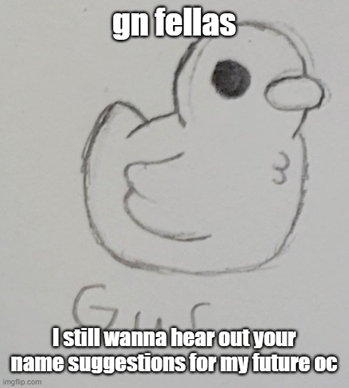 obviously won't respond immediately cuz imma be *hooonk shooooo* | gn fellas; I still wanna hear out your name suggestions for my future oc | image tagged in gus the duck | made w/ Imgflip meme maker