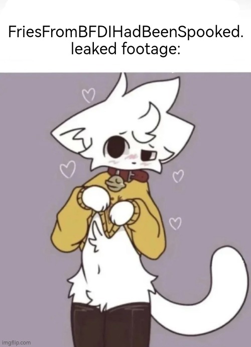 Female Gay Furry | FriesFromBFDIHadBeenSpooked. leaked footage: | image tagged in female gay furry | made w/ Imgflip meme maker