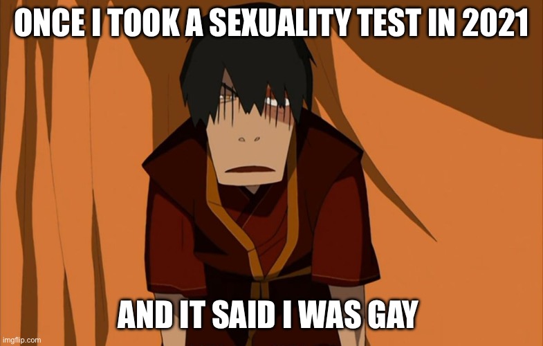 Probably because I was too insistent I was straight | ONCE I TOOK A SEXUALITY TEST IN 2021; AND IT SAID I WAS GAY | image tagged in zuko flustered | made w/ Imgflip meme maker