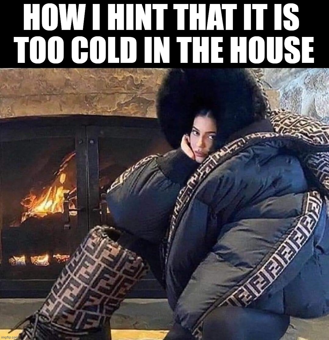 So cold | HOW I HINT THAT IT IS 
TOO COLD IN THE HOUSE | image tagged in cold | made w/ Imgflip meme maker