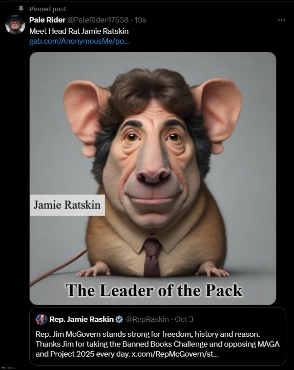 Trolling Jamie Ratskin on twitter | image tagged in trolling the troll,trolling,jamie raskin,demorat,lowlife,bottom feeder | made w/ Imgflip meme maker