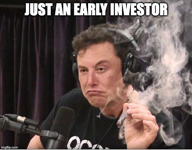 Elon Musk smoking a joint | JUST AN EARLY INVESTOR | image tagged in elon musk smoking a joint | made w/ Imgflip meme maker