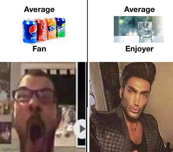 Yes | image tagged in average fan vs average enjoyer | made w/ Imgflip meme maker