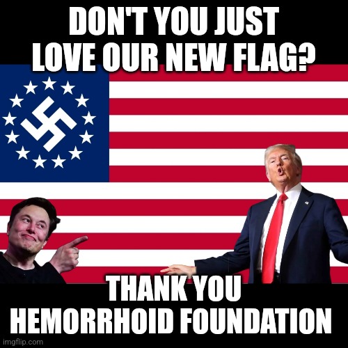 Project 2025 | DON'T YOU JUST LOVE OUR NEW FLAG? THANK YOU HEMORRHOID FOUNDATION | image tagged in musk,trump,project 2025,maga | made w/ Imgflip meme maker