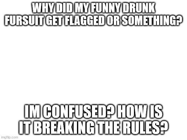 What? | WHY DID MY FUNNY DRUNK FURSUIT GET FLAGGED OR SOMETHING? IM CONFUSED? HOW IS IT BREAKING THE RULES? | image tagged in hmmm,stop it patrick you're scaring him correct text boxes | made w/ Imgflip meme maker