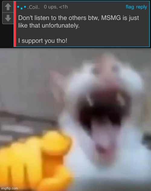 image tagged in cat pointing and laughing | made w/ Imgflip meme maker