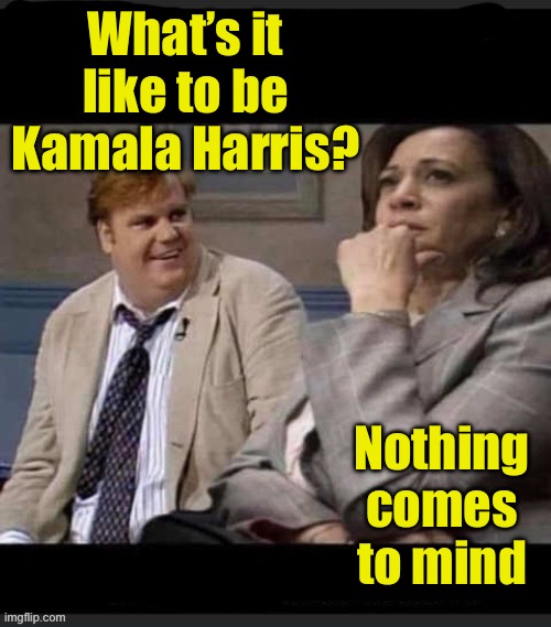 She’s now campaigning for a position on The View | What’s it like to be Kamala Harris? Nothing comes to mind | image tagged in farley and kamala,mindless | made w/ Imgflip meme maker