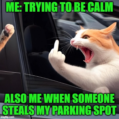 parking spot | ME: TRYING TO BE CALM; ALSO ME WHEN SOMEONE STEALS MY PARKING SPOT | image tagged in memes | made w/ Imgflip meme maker