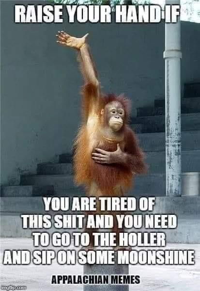 High Quality Me me Blank Meme Template