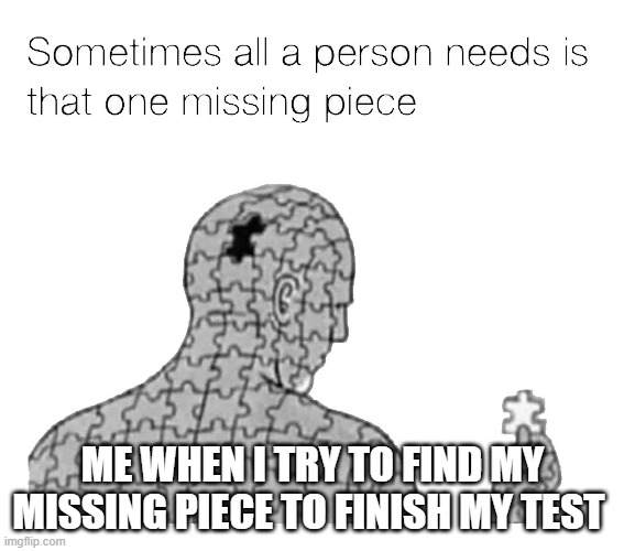 reallll randomm | ME WHEN I TRY TO FIND MY MISSING PIECE TO FINISH MY TEST | image tagged in that one missing piece | made w/ Imgflip meme maker