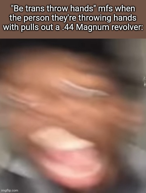 "Be trans throw hands" mfs when the person they're throwing hands with pulls out a .44 Magnum revolver: | made w/ Imgflip meme maker