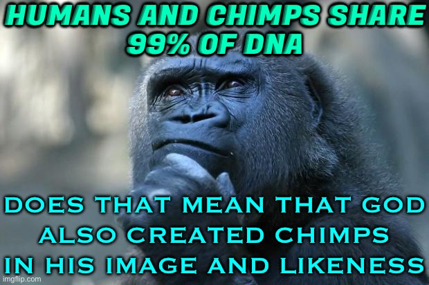 Human And Chimp DNA Is 98.8 Percent Identical | HUMANS AND CHIMPS SHARE
99% OF DNA; DOES THAT MEAN THAT GOD
ALSO CREATED CHIMPS
IN HIS IMAGE AND LIKENESS | image tagged in deep thoughts,dna,genetics,anti-religion,evolution,science | made w/ Imgflip meme maker