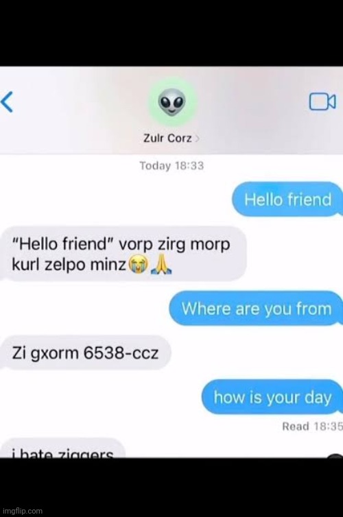 zigga | image tagged in memes | made w/ Imgflip meme maker