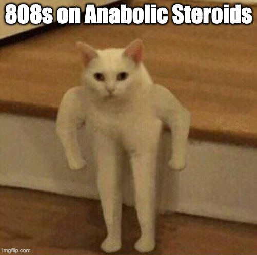 808s on Anabolic Steroids | 808s on Anabolic Steroids | image tagged in 808,808s,steroids,cat,tough cat,tuff cat | made w/ Imgflip meme maker