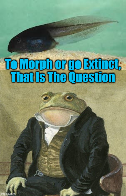 To Morph or go Extinct, That Is The Question | image tagged in tadpole hunting,gentlemen it is with great pleasure to inform you that | made w/ Imgflip meme maker